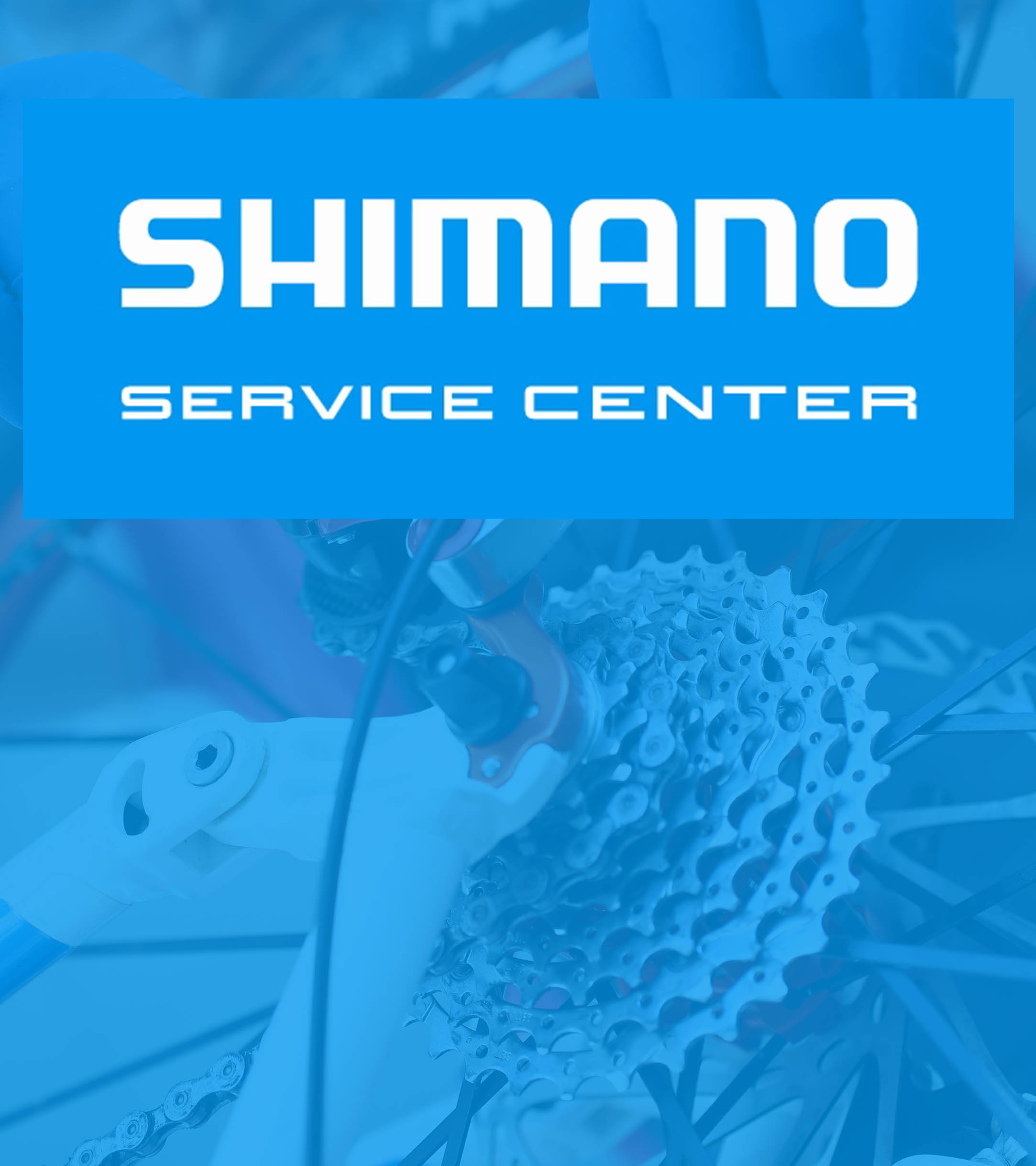 https://posport.pl/wp-content/uploads/2024/03/shimano-serwis.jpg